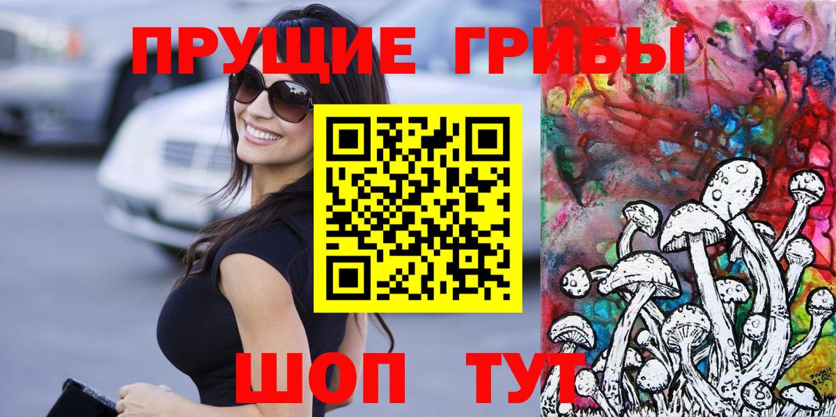 Галлюциногенные грибы Psilocybe Чита