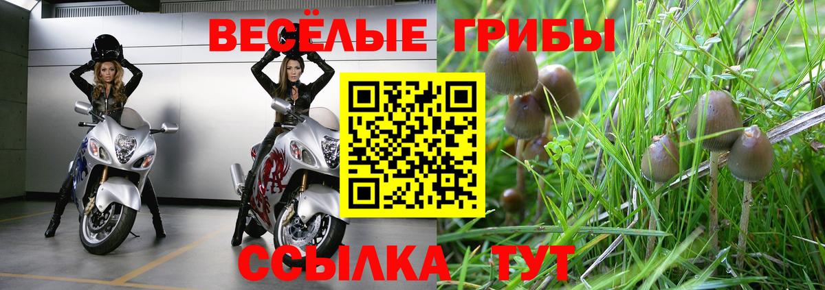 Чита  Псилоцибиновые грибы Psilocybe  где найти наркотики  Вход с VPN 